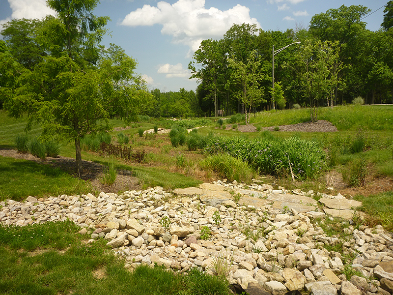 Green Infrastructure Design for Wetlands Reclamation – University of ...